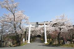 あたご山桜まつりに関するページ