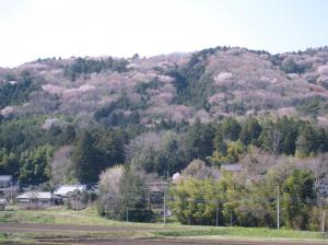 舘岸城跡