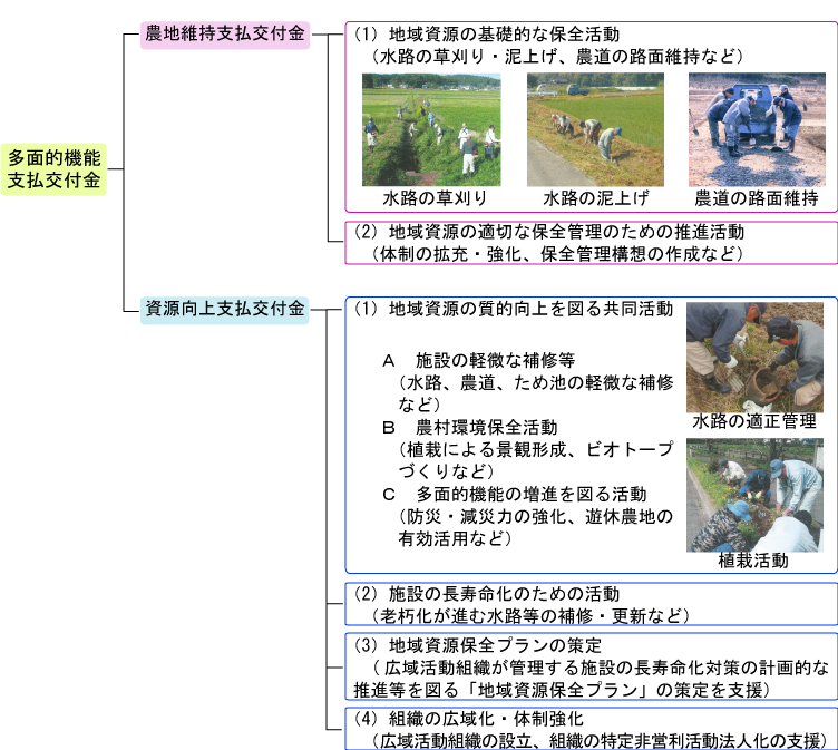 多面的機能支払交付金の構成