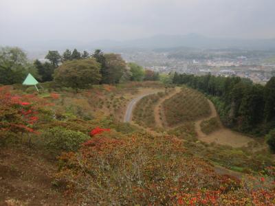 2015/4/20つつじ頂