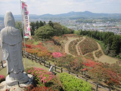 2015/4/22つつじ頂