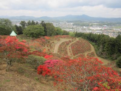 2015/4/24　つつじ頂