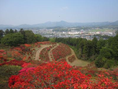 2015/4/24 つつじ頂