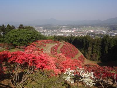 2015/4/27 つつじ頂