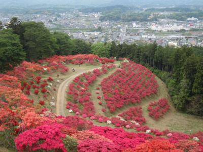 2015/4/29 つつじ頂