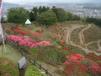 2016/4/21つつじ頂