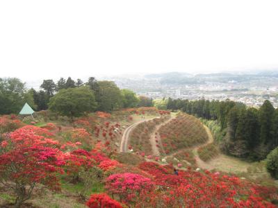 2016/4/23つつじ山頂