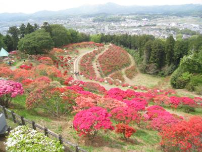 2016/4/27つつじ山頂