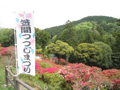 2016/4/27つつじ2