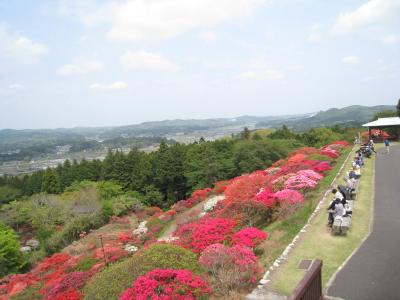 2016/4/27つつじ展望台