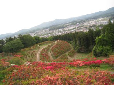 2016/5/3つつじ山頂