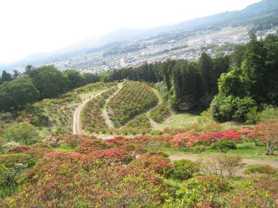 2016/5/5つつじ山頂