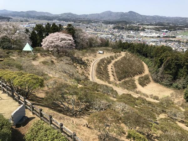 つつじ公園頂上付近