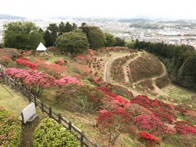 20170426山頂