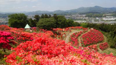 20170505 山頂