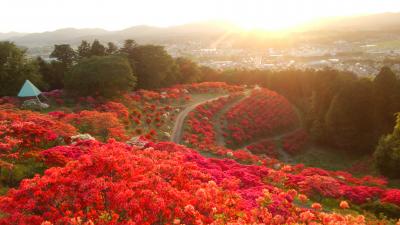 20170505 夕日山頂