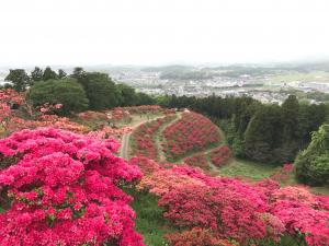 つつじ終頂上