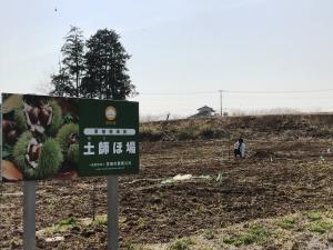 栗生産拡大事業ほ場