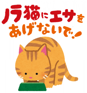 野良猫えさ