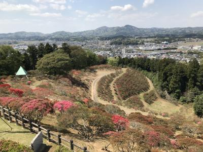 2018/4/13 つつじ山頂