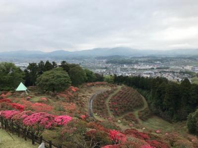 2018/4/15つつじ頂