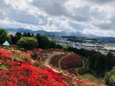 2018/4/18つつじ頂