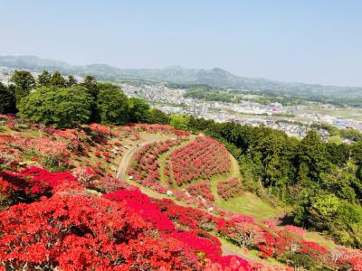 2018/4/20つつじ頂