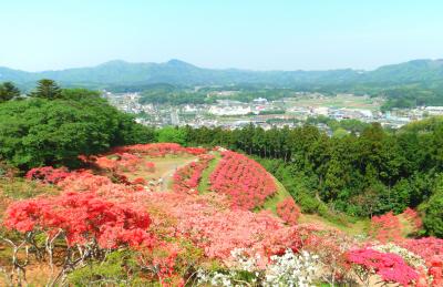 2018/4/22 つつじ山頂