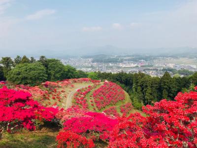 2018/4/23　つつじ山頂