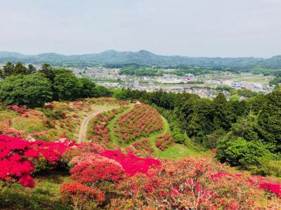 2018/4/27つつじ頂