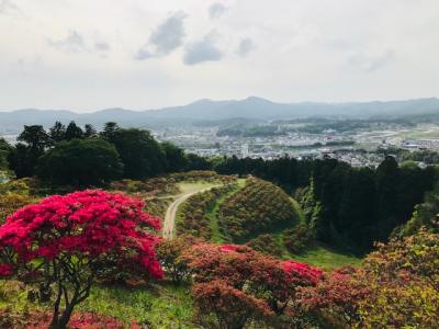 2018/4/30つつじ頂