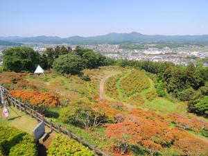 5/6つつじ山頂