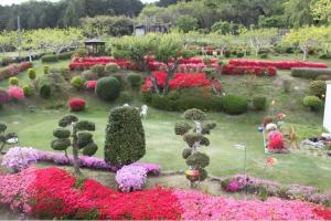花と緑のまちなみコンテスト(個人の部)