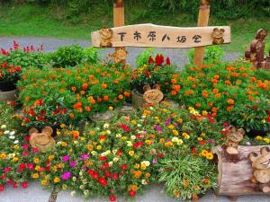 花と緑のまちなみコンテスト(団体の部)
