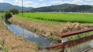 水車橋