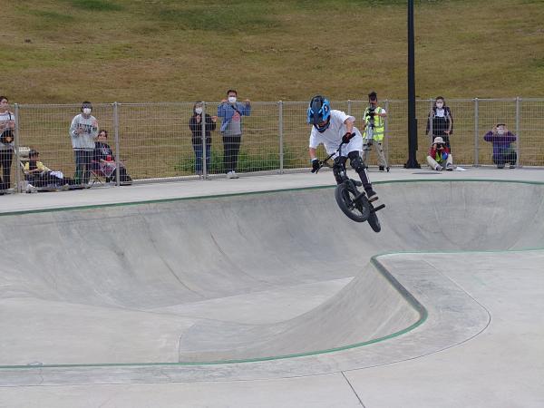bmx1