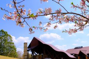 桜の工芸の丘