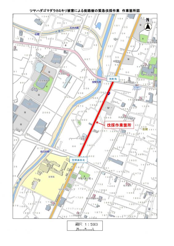 伐採位置図（拡大）