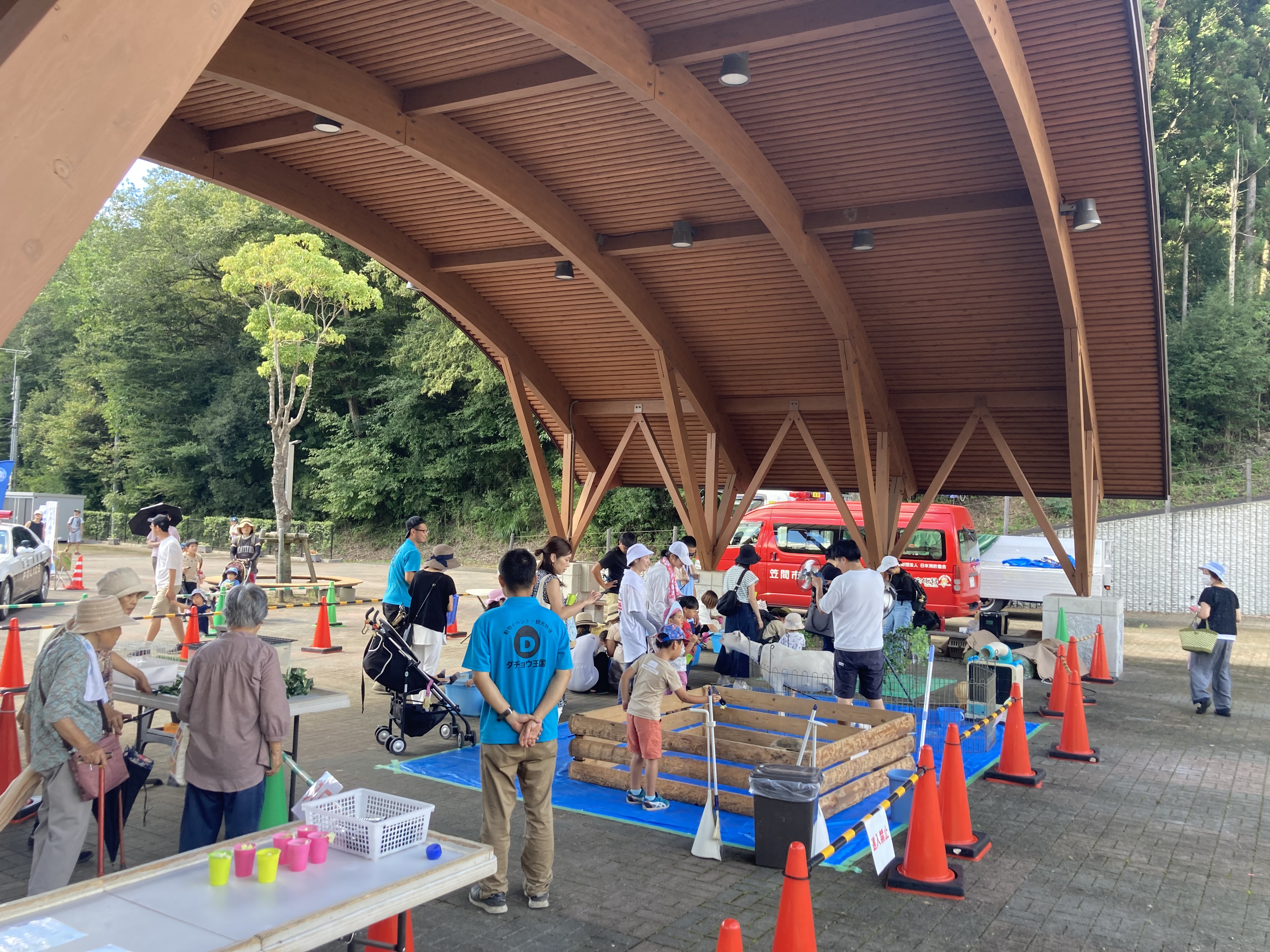 サマーフェスタ　動物園