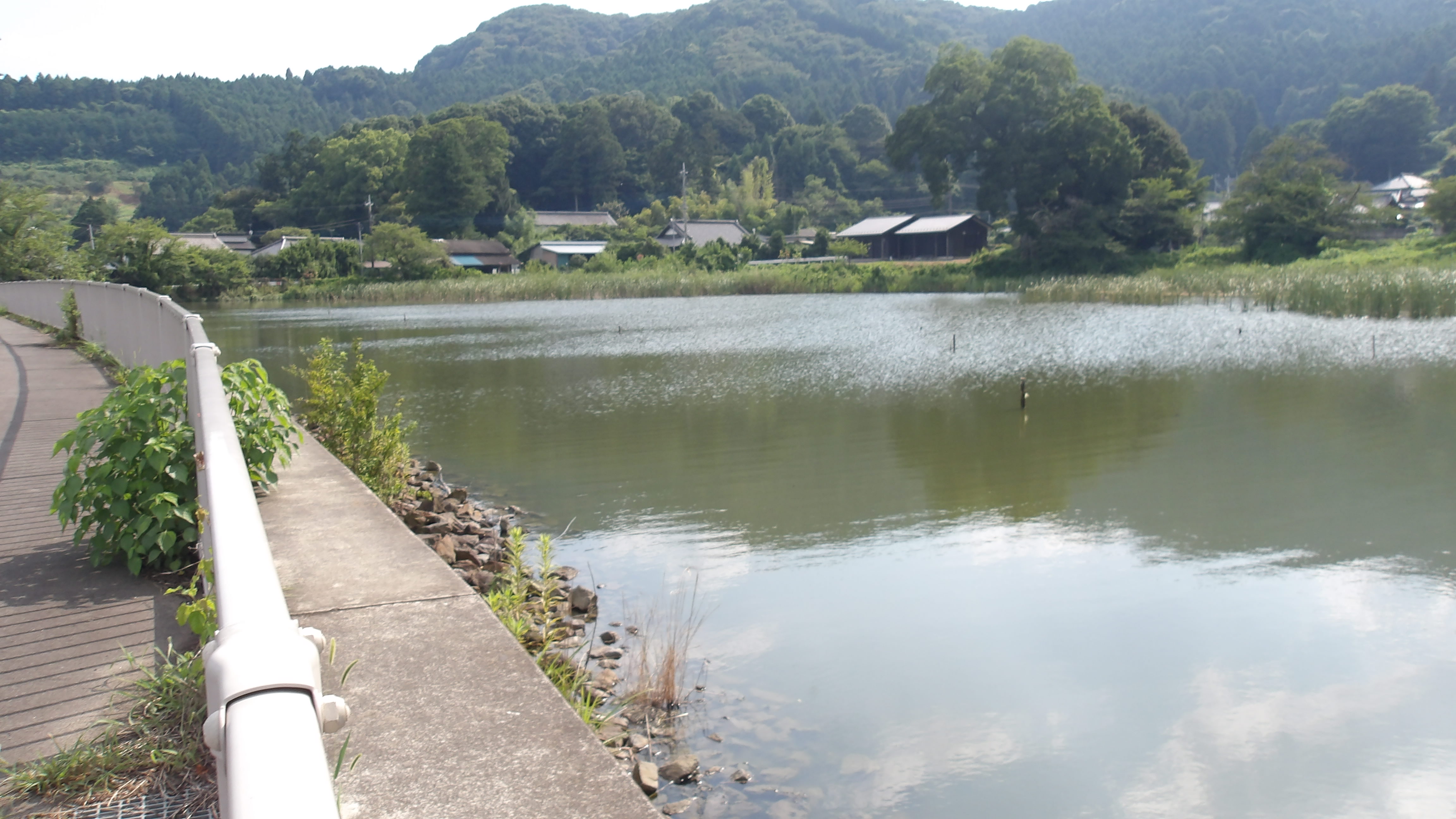ため池の写真