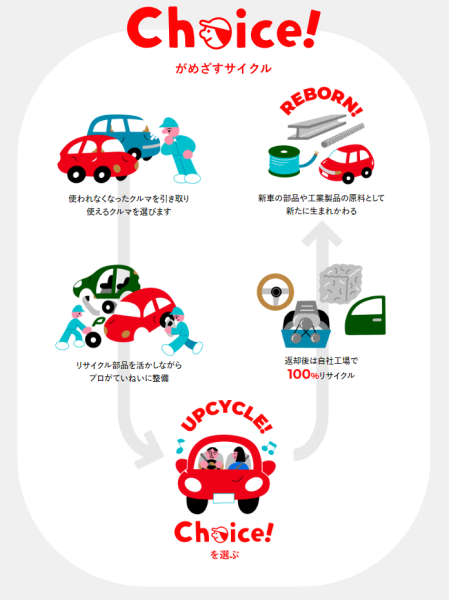 choice_cycle_600