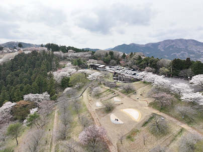 あたご天狗の森 