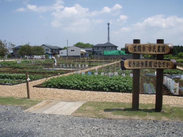 市民農園 生き活き菜園 はなさか