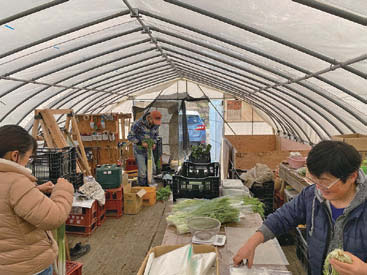 「みんなで農活Day」農作業をする様子