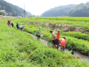 涸沼川上流(1)