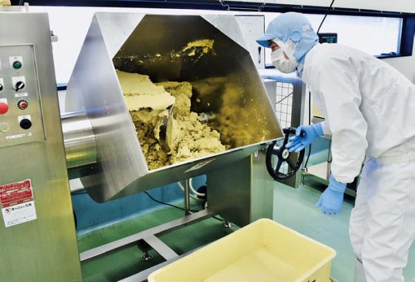 栗ペースト製造の様子