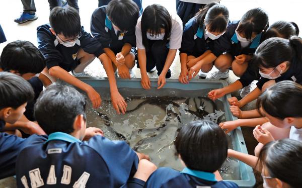 「うなぎごはん」で地域を元気に プロジェクト