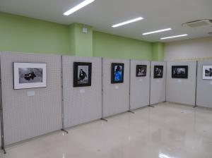 写真部門