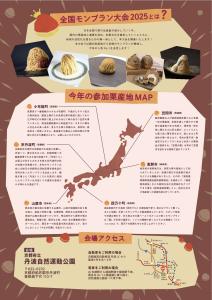 モンブラン大会 チラシ裏