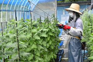 市長コラム令和8年1月